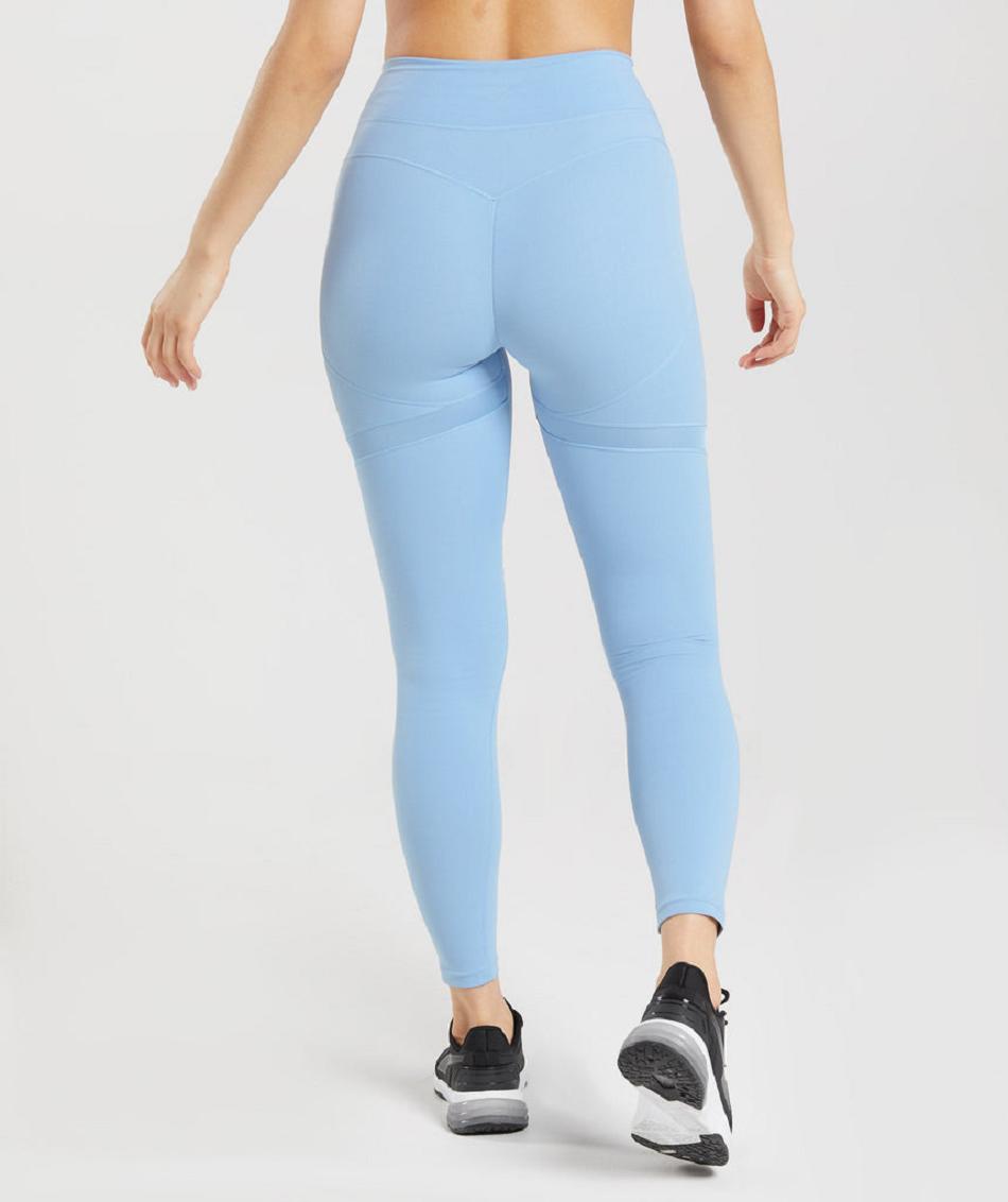 Gymshark Whitney Mesh Ženske Tajice Plave | HR 3993WNB